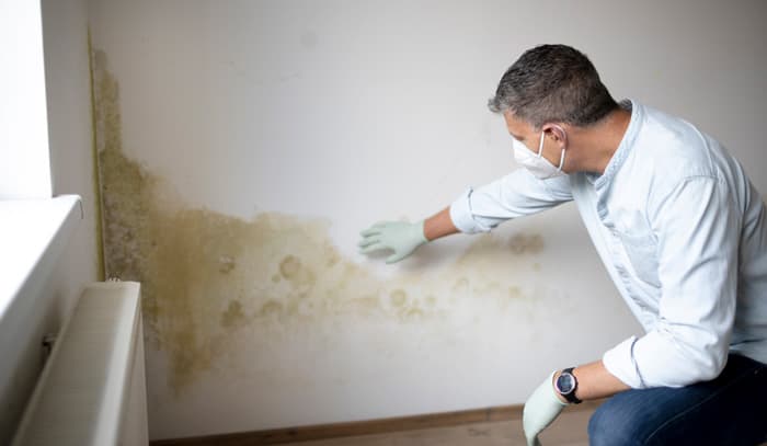 Mould The Hitchhiker!