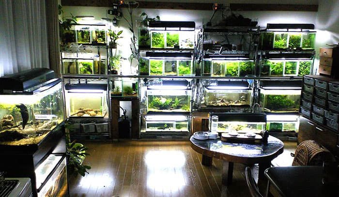 Help Available for MTS Sufferers